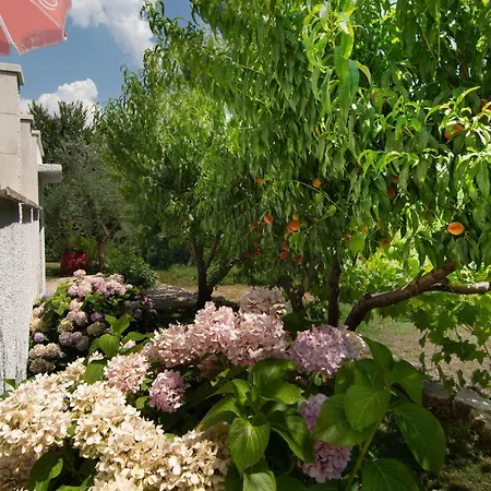 Cozy In Podaspilje With Kitchen